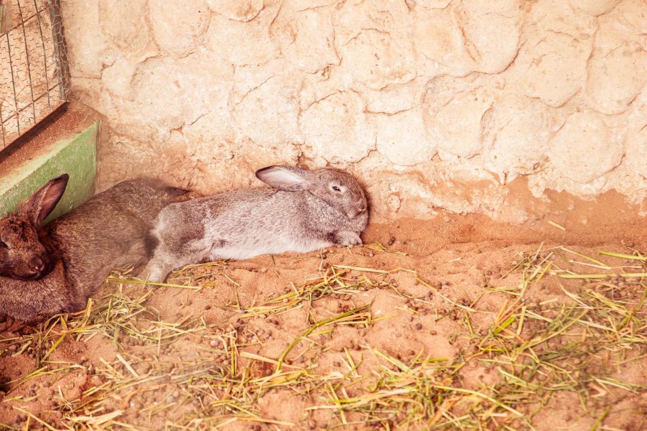 Hotel Casa Grande Gravata Kültér fotó